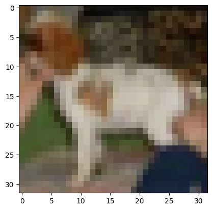 CNN Prediction - Dog